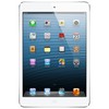 Apple iPad mini 16Gb Wi-Fi + Cellular белый - Вичуга