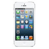 Apple iPhone 5 16Gb white - Вичуга